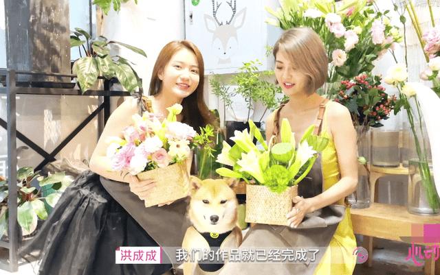 刮腻子用什么材料好