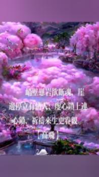 深度问答,尽在双子座真的很花心吗?蜗牛